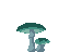 green mushrooms